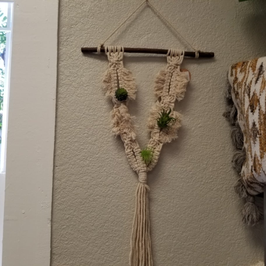 Air Plant Wall Hanger | Koontz Mercantile